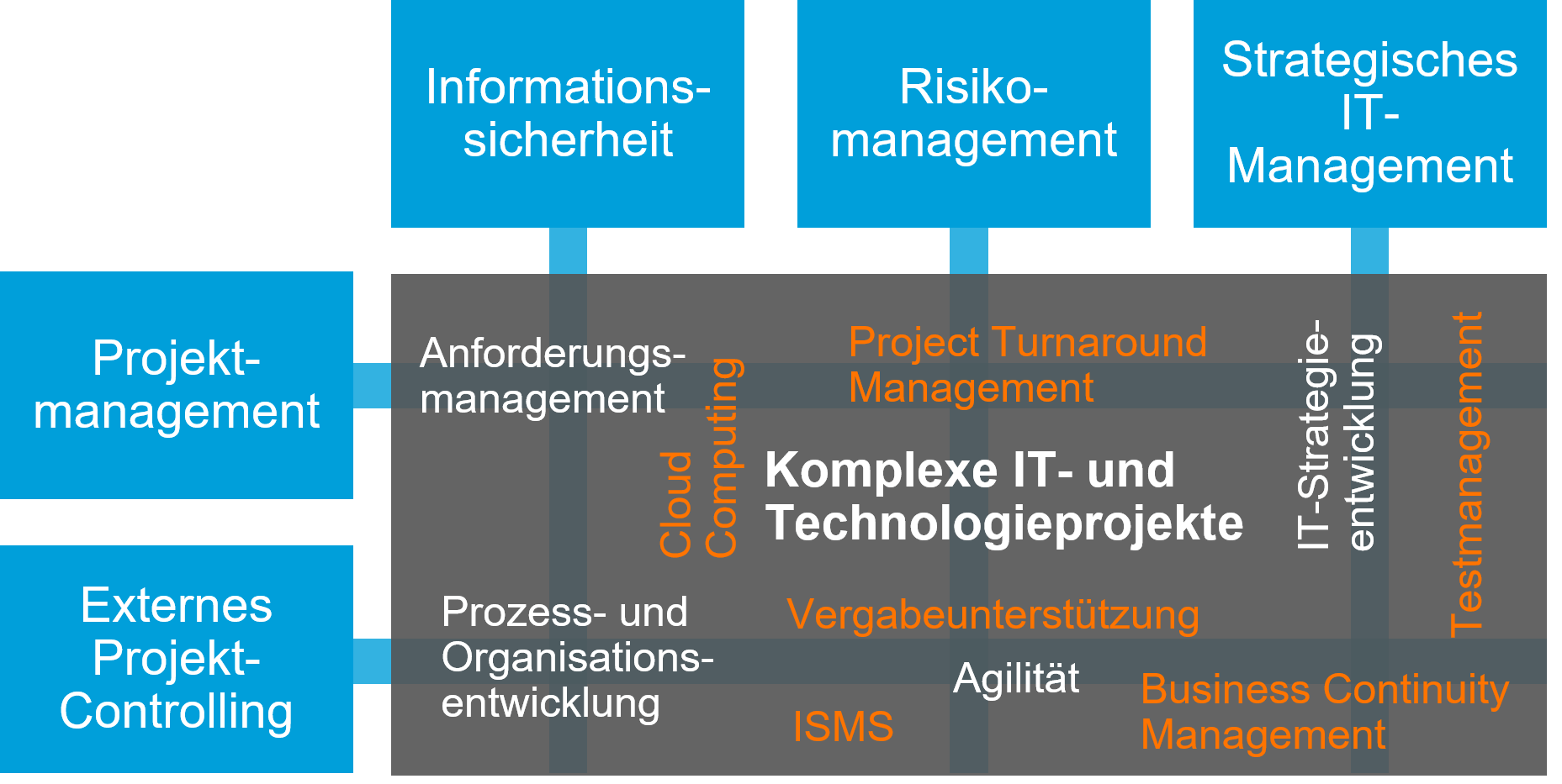 Kompetenzfelder ESG-Consulting: IT-Strategie, Cloud-Strategie, Informationssicherheit, Projektmanagement, Agilität , Risikomanagement, Controlling